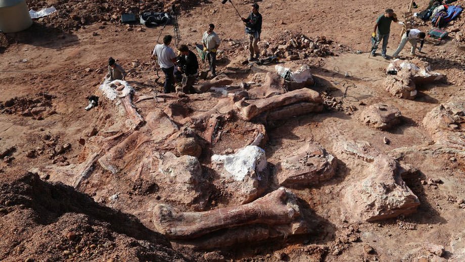 Les restes du plus grand dinosaure ont été retrouvés en Argentine.