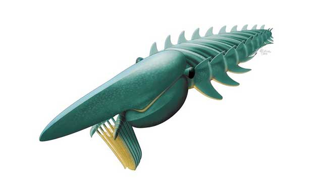 Découverte d'un monstre marin inconnu vivant il y a 480 millions d'années