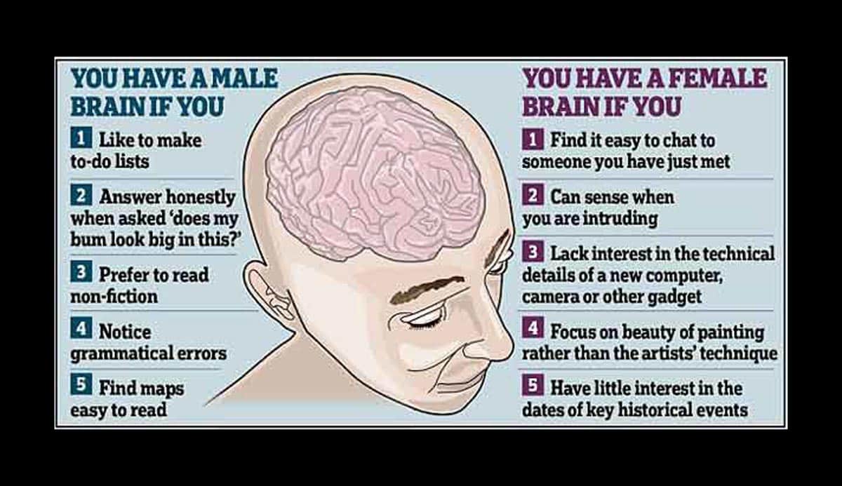 Les cerveaux masculins gagnent plus que les cerveaux féminins
