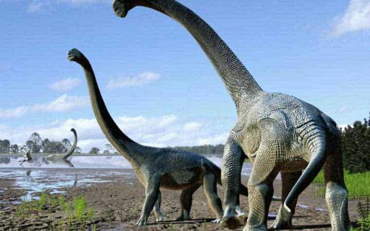 Une espèce de dinosaure géant inconnue a été découverte en Australie