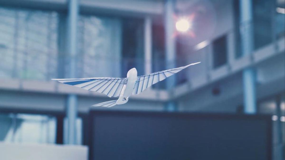BionicSwift : un oiseau robot qui a l'air réel