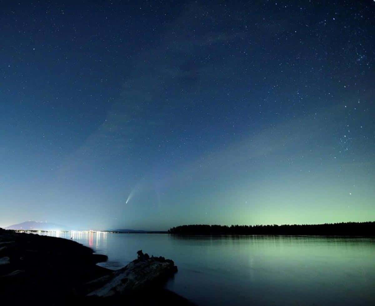 Cette merveilleuse comète binoculaire a orné notre ciel matinal au début du mois de juillet.