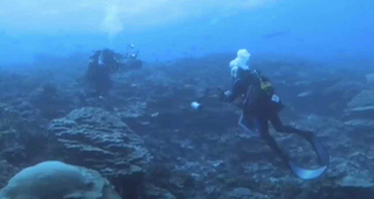 Un secret océanique démasqué : plongée révélatrice autour de l'île de Vostok