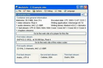 Capture d'écran du logiciel MediaInfo affichant des informations techniques détaillées sur un fichier vidéo.
