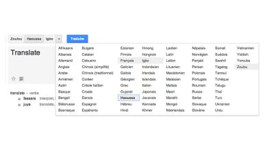 Google ajoute des langues asiatiques et africaines à Google Traduction