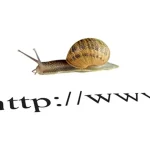 Un escargot avançant sur une URL symbolisant la lenteur d'un site web