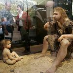 Exposition sur l'homme de Néandertal, en juillet 2004, à Eyzies-de-Tayac.
