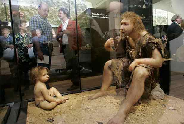 lhomme neandertal sest eteint tot prevu