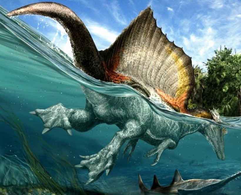 Le plus grand dinosaure carnivore de tous les temps était semi-aquatique