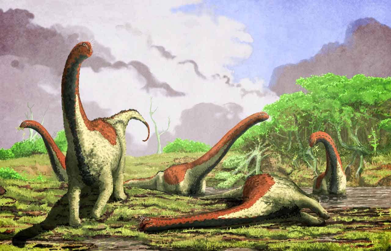 paleontologie decouverte du rukwatitan bisepultus