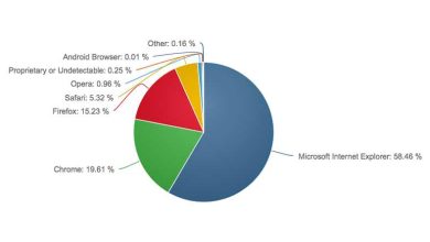 Toutes versions confondues, Internet Explorer est adopté par 58,46% des internautes