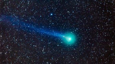 Observer la luminosité verdâtre de la comète Lovejoy
