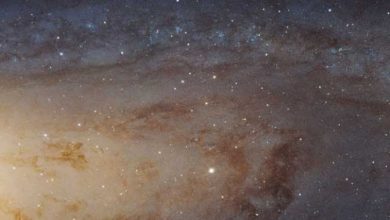 Hubble : 1,5 milliard de pixels pour représenter la galaxie d'Andromède
