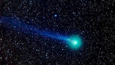 Lovejoy : une comète visible à l'œil nu