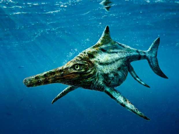 Un ichthyosaure 100% écossais