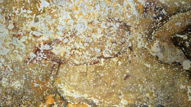 une-main-negative-datee-de-39-900-ans-et-la-peinture-dune-femelle-babirusa-datant-de-35-400-ans