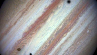 Hubble immortalise une parade des satellites de Jupiter