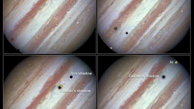 Hubble observe le transit de trois lunes de Jupiter