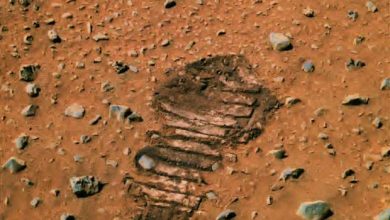 Mars One : plus que 100 candidats en course