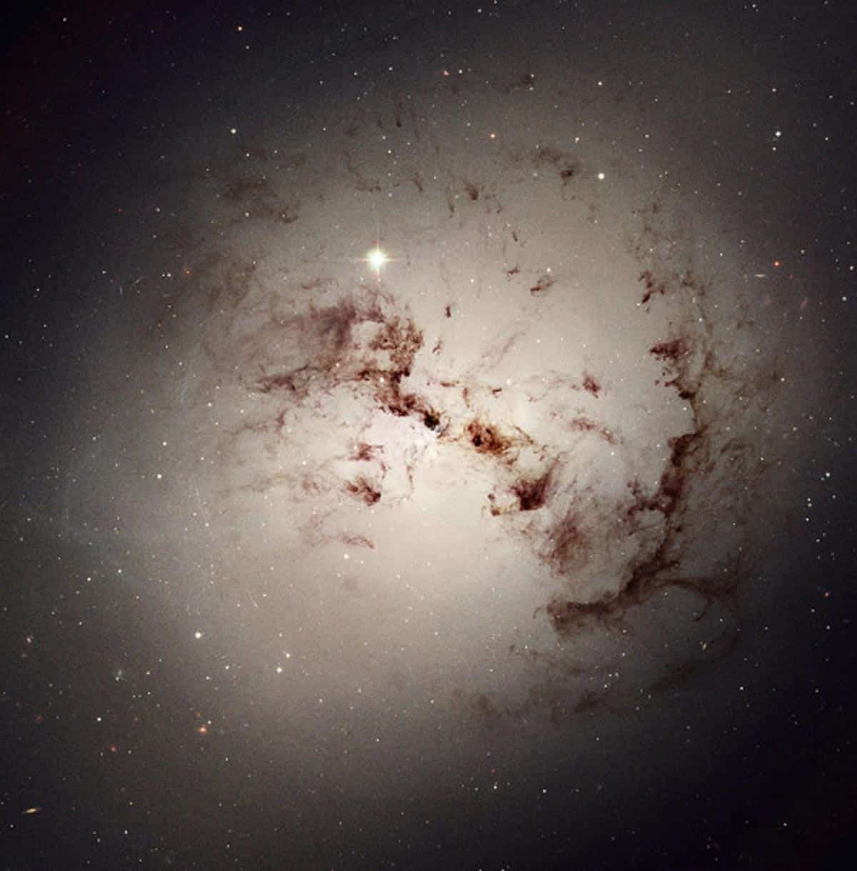24. Ces moutons de poussière sont en fait la galaxie elliptique géante NGC 1316. (Photo : NASA/ESA/Hubble)