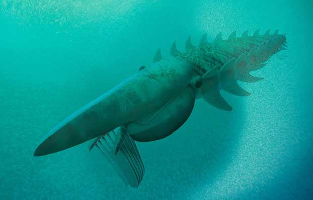Aegirocassis benmoulae : un monstre marin vieux de 480 millions d'années