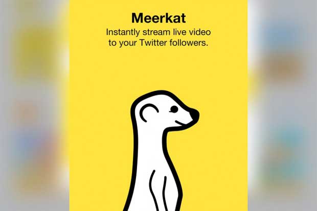 Meerkat : le streaming video en direct sur Twitter