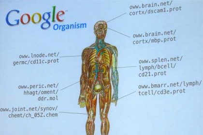 Google : création d'une nouvelle filiale de biotechnologie dédiée aux sciences de la vie
