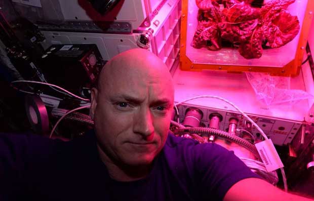 ISS : les astronautes vont manger une salade cultivée à bord de la station