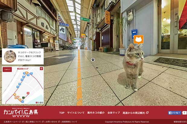 Cat Street View : voir le monde comme si on était un chat