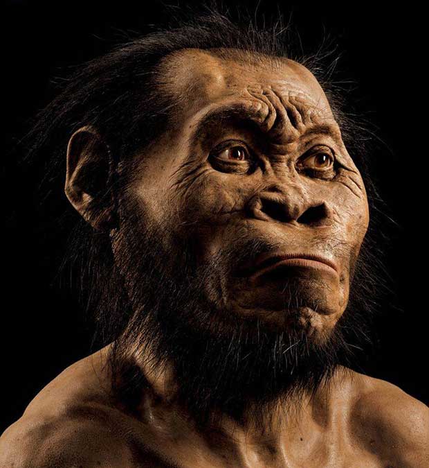 Homo naledi : découverte d'une nouvelle espèce du genre humain