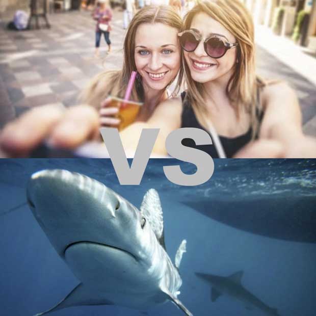 Les selfies sont plus meurtriers que les requins !