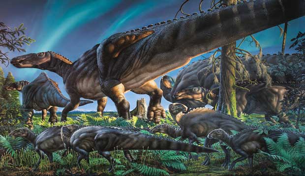 Un dinosaure herbivore vivait en Alaska il y a 69 millions d'années