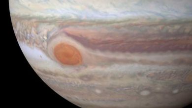 Image HD de Jupiter vue par le télescope spatial Hubble.