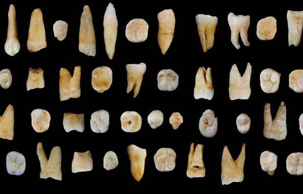 Découverte de dents d'Homo Sapiens datant d'au moins 80.000 ans en Chine.