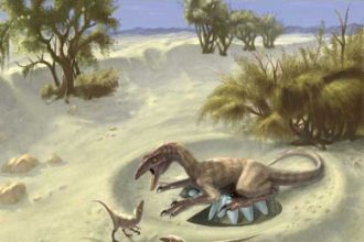 Une piste pour savoir si les dinosaures sont à sang chaud ou à sang froid