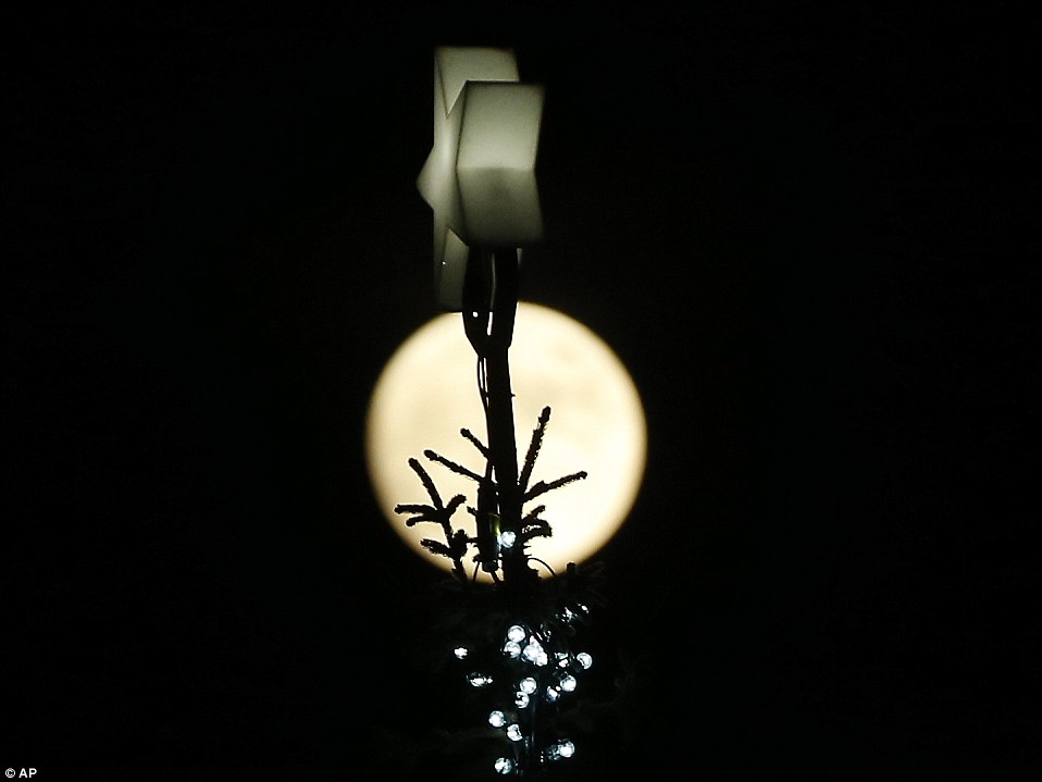 The_full_moon_rises_over_the_traditional_Norwegian_Christmas_tre