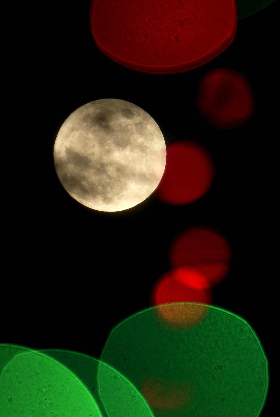 La pleine Lune derrière un arbre de Noël au-dessus du centre de conférences de l'Université du Tennessee à Knoxville