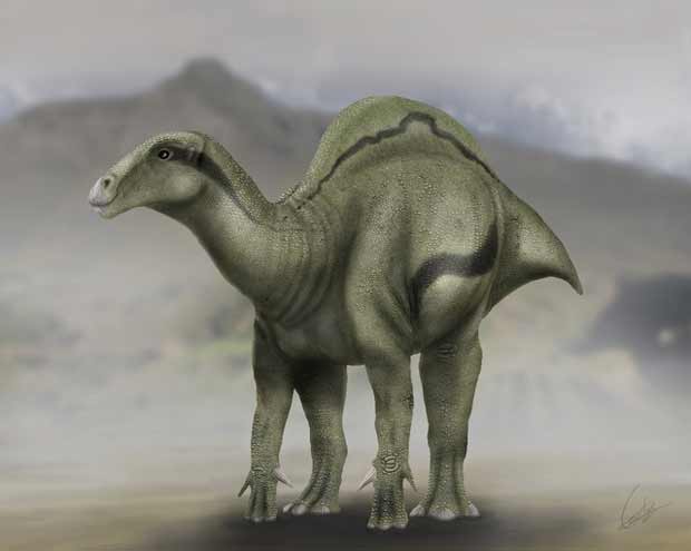 Espagne : découverte d'un nouveau dinosaure à voile près de Barcelone