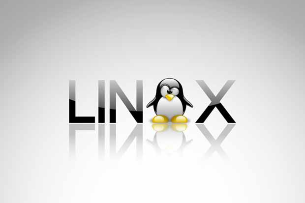 Le noyau Linus est désormais disponible en version Kernel 4.4 LTS : plusieurs nouveautés