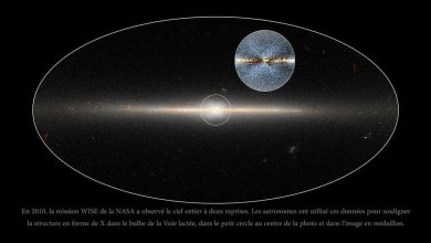 En 2010, la mission WISE de la NASA a observé le ciel entier à deux reprises. Les astronomes ont utilisé ces données pour souligner la structure en forme de X dans le bulbe de la Voie lactée, dans le petit cercle au centre de la photo et dans l'image en médaillon.