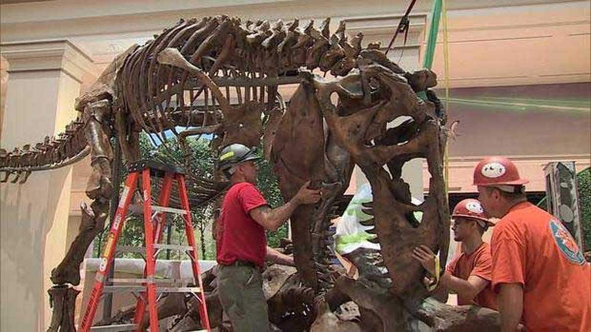 À l'intérieur de la nouvelle exposition de dinosaures du Smithsonian
