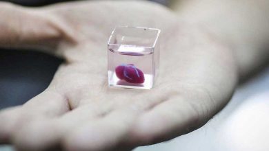 Un chercheur est titulaire d'un prototype de cœur humain imprimé en 3D à l'Université de Tel-Aviv le 15 avril.