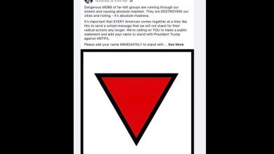 Facebook et Trump : le réseau social supprime les publicités de la campagne Trump pour avoir inclus un symbole utilisé dans l'Allemagne nazie