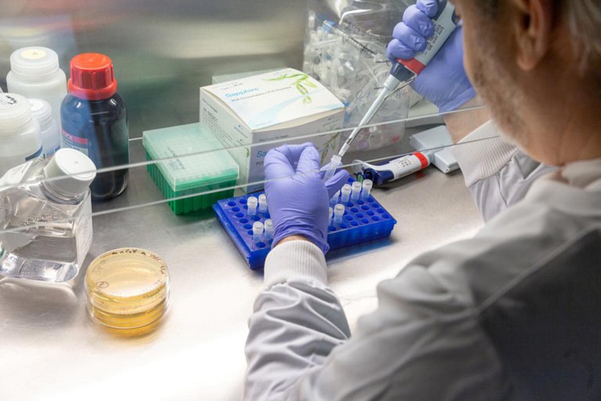 Un laboratoire de l'Imperial College de Londres étudie les traitements contre le coronavirus.