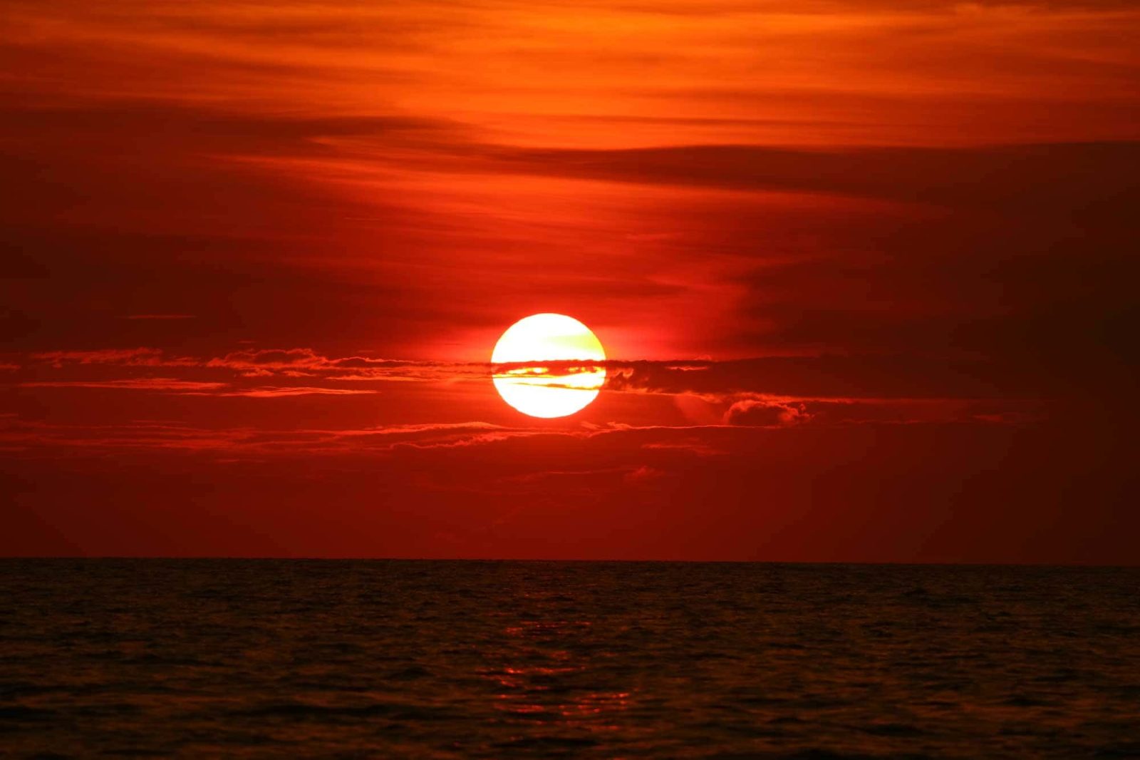Photo : soleil de retour sur le coucher de soleil ciel horizon vague sur la mer de surface