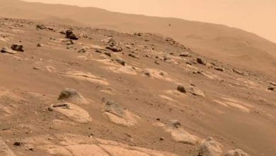 Partenaires sur Mars : la NASA publie une photo prise par l'hélicoptère Ingenuity du rover Persévérance.