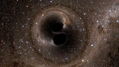 La prédiction de Stephen Hawking sur les trous noirs que les scientifiques ont vérifiée 50 ans plus tard