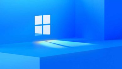 Microsoft Edge est enfin apparu sur le Windows 11 Store