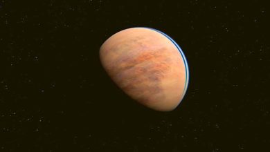 L'étoile L 98-59 pourrait être entourée de planètes abritant la vie.