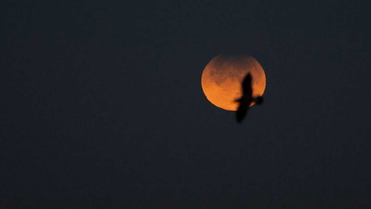 Éclipse lunaire